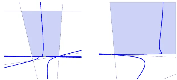 Figure 2. The DTZ snake with 6 constraints. On the left, a global view of the polygon and its central curve with the line y 2 = 1 appearing as part of the curve