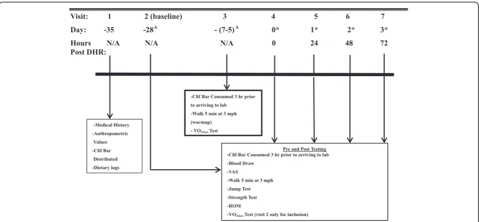 Figure 1 Study timeline. VAS: Visual Analog Scale, VO2max: Maximal Oxygen Uptake, ROM: Range of Motion