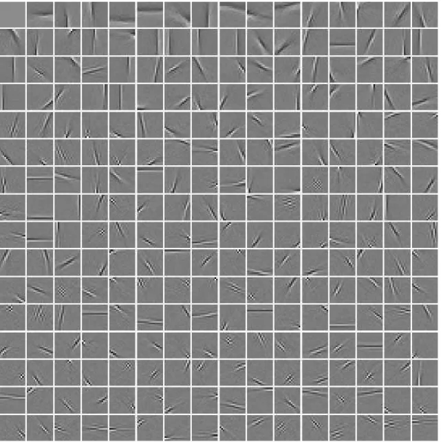 Figure 4: Basis functions in ICA of natural images. The input window size was 16 × 16 pixels
