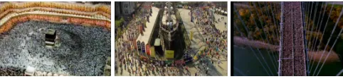 Fig. 1. Sample frames from high density crowd videos.