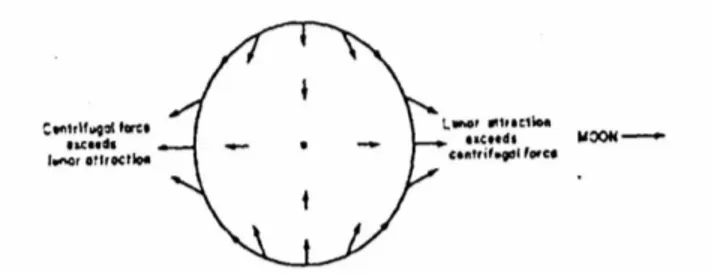 Fig 1  the distribution of the horizontal tidal tractive forces on the earth’s surface 