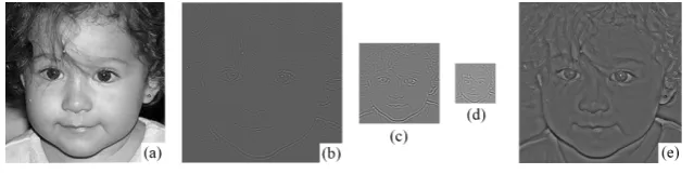 Figure 3: (a) The original image. (b)(c)(d) Pyramid of multi-scale channels with increasingscales and reducing dimensions