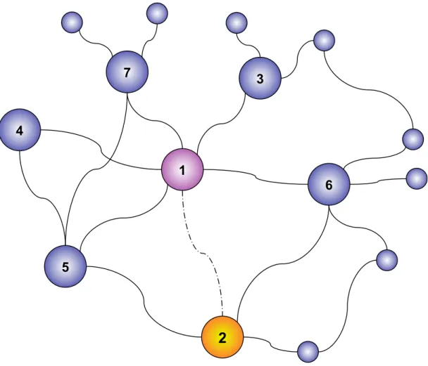 Figure 2.2: Selection of network links