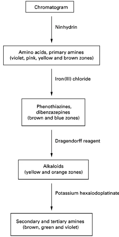 Figure 1A typical visualization sequence for a TLC chromato-gram. The sequence enables the identification of a number ofdifferent groups of nitrogen function organic compounds.