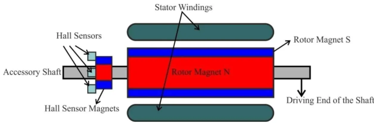 Figure 1. BLDC motor transverse section [10]. 