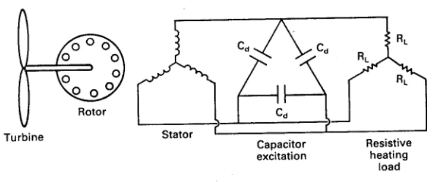 Figure 10: Self-excited induction generator.