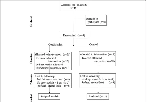 Figure 1 CONSORT statement flow diagram.