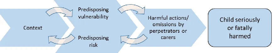 Figure 3: Pathways to harm in child maltreatment 