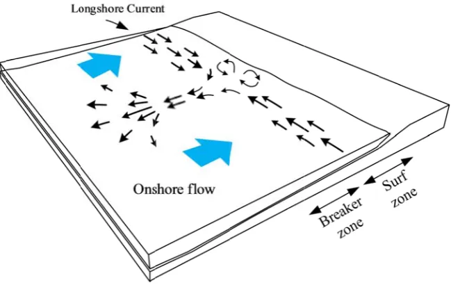 Figure 33.3 – Schemmatic of circculation cellls of longshore currentss and rip cuurrents 