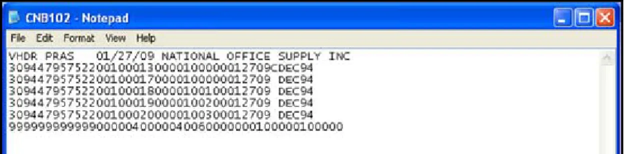 Figure 1-2 CNB Positive Pay Output File Format 