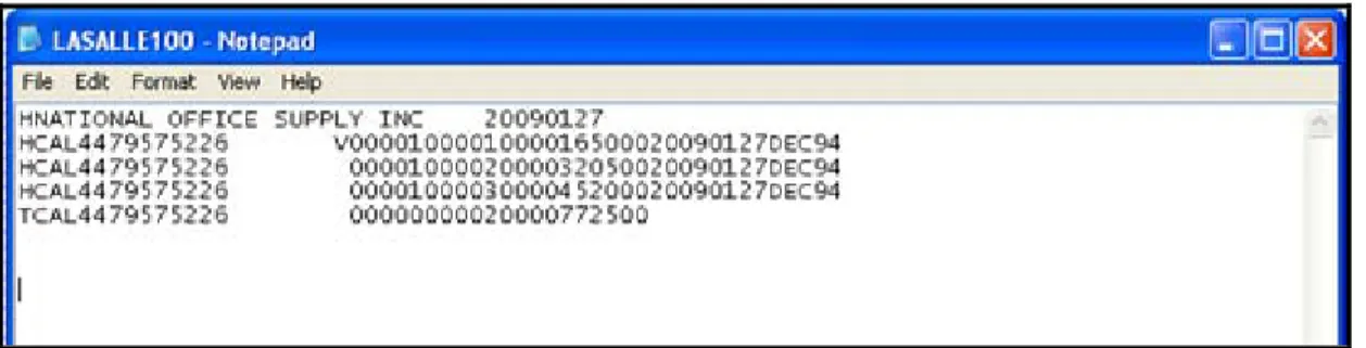 Figure 1-4 LASALLE Positive Pay Output File Format 