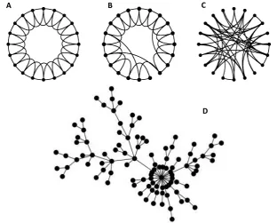 Figure 2.2: A. a lattice network with Dirac Delta degree distributionwith power-law degree distribution (BA model)