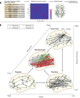 Figure 2.5: A. Common procedure for constructing the functional connectome.scription of the human brain, suggesting the human connectome is located between three topologicalextremes (random, lattice and scale-free)