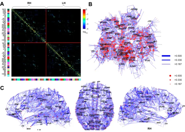 Figure 2.6: Hagmann et al 2008 description of structural connectome: A. Adjacency matrix of thestructural connectome of healthy brains