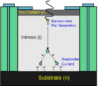 Figure 2.13: Schematic of the avalanche process in an APD. Incident photon 