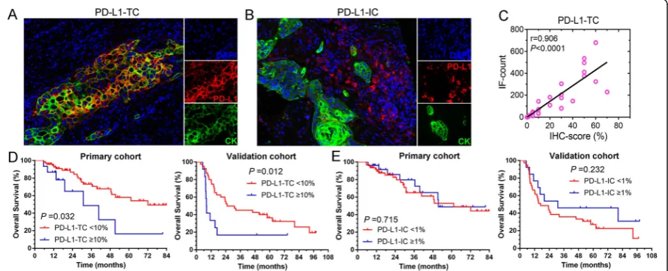 Fig. 2 Correlation of checkpoint expression and clinical outcome. a and b Multi-color immunofluorescence (IF) staining for PD-L1 expression intumor cells (TCs) or immune cells (ICs)
