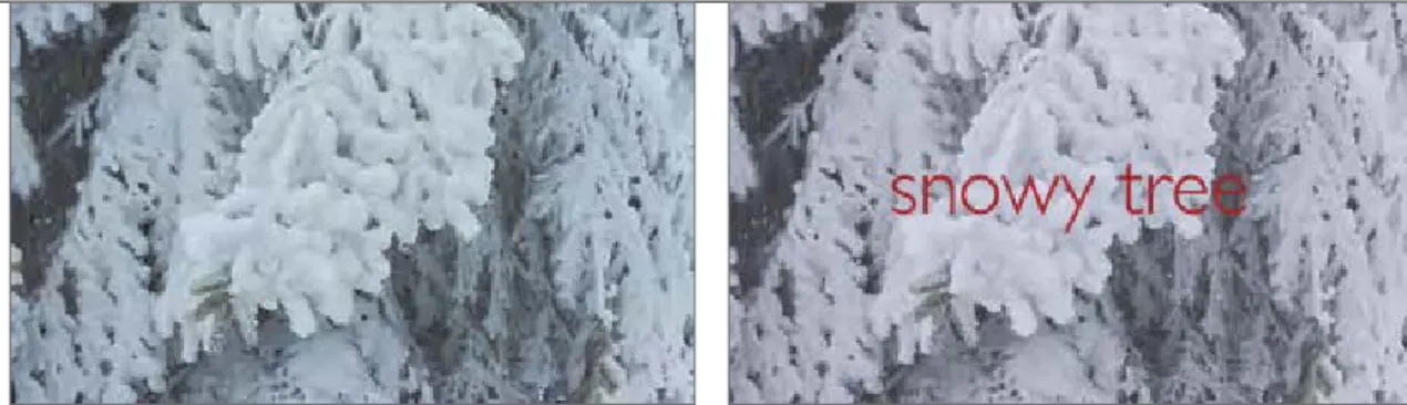 FIGURE 4.2 The image on the  left displays the first still from  the video that the browser  shows by default; on the right,  the same video is shown but  with a defined poster image  displayed instead.