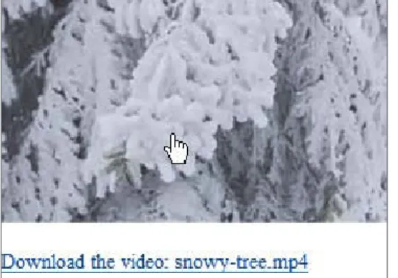 FIGURE 4.3 This is how the  image and link to download the  MP4 file might be displayed in  Internet Explorer 8.