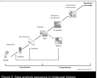 Figure 5. Data analysis sequence in molecular biology 