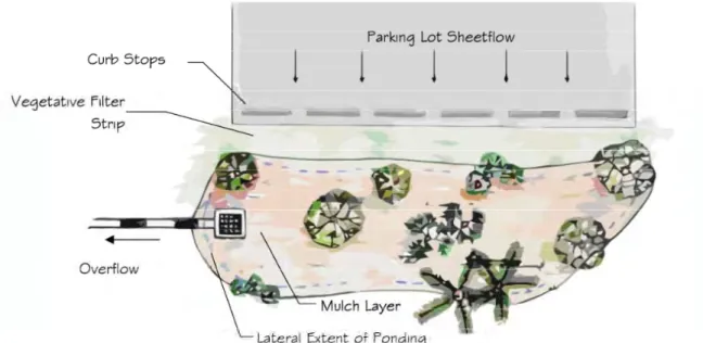 Figure 3.1-1  Plan View Illustrating a Shallow Bioretention System 
