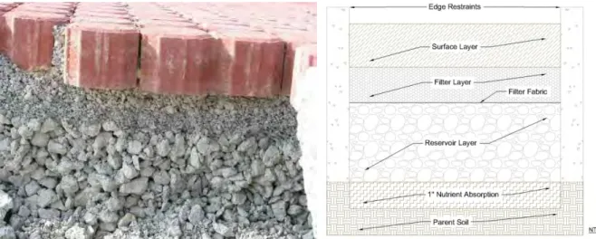 Figure 3.2-2  Typical Modular Paver Pervious Pavement System Cross Sections 