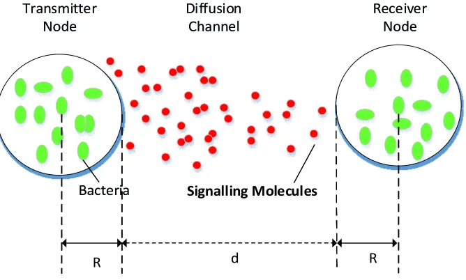 Figure 4.2 Bacterial communication setup consisting of the transmitter node, the diffusion channel and the receiver node