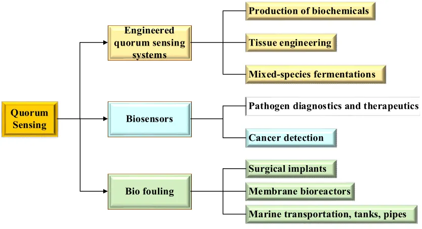 Figure 3.6 Overview of current QS applications. 
