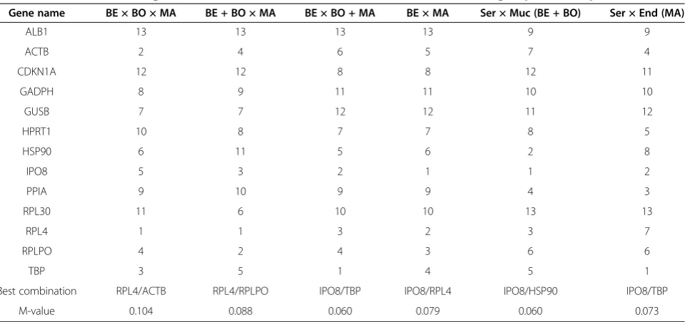 Table 5 NormFinder ranking of 13 candidate RGs and combinations of the two best in group-wise comparison