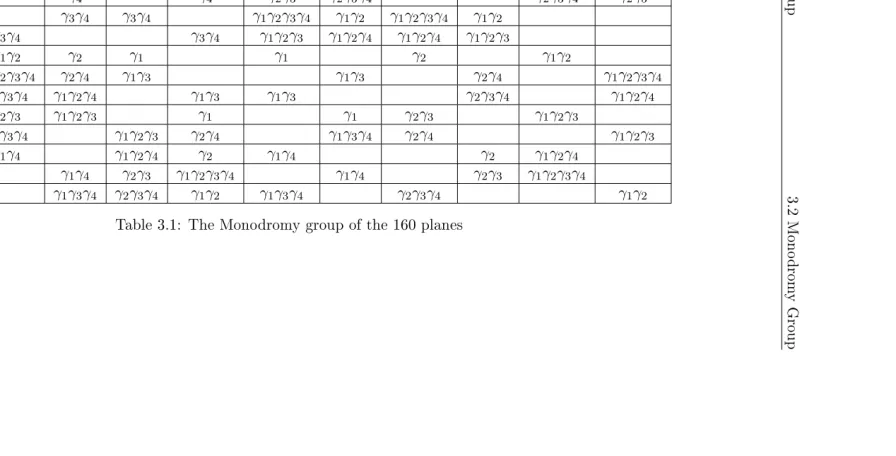 Table 3.1: The Monodromy group of the 160 planes