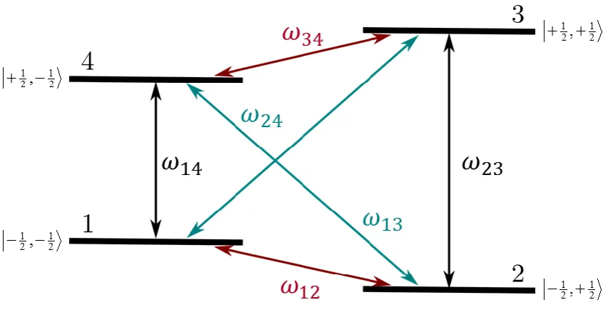 Figure 3-3  The energy level diagram for a system with S=1/2 and I = 1/2. All possible transitions are labelled: black arrows indicate EPR transitions, red arrows NMR transitions and cyan arrows the “forbidden” transitions