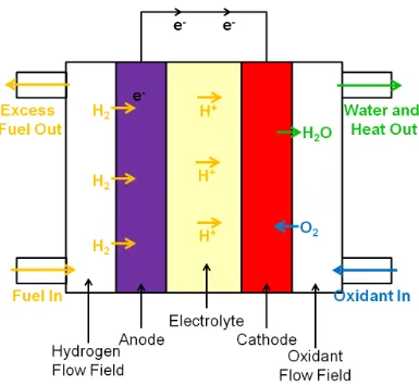 Figure 1.1: Schematic diagram of polymer electrolyte membrane fuel cell. 