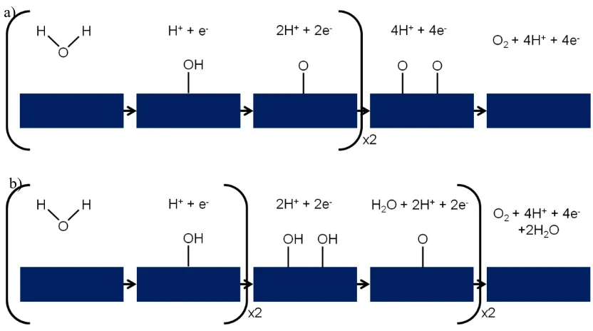 Figure 1.3: a) Electrochemical oxide path and b) oxide path for oxygen evolution reaction under acidic conditions.36 