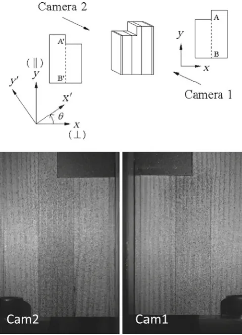 Fig. 3. Deﬁ nition of the coordinates and examples of acquired images. ||, Parallel to the grain direction; ⊥, perpendicular to the grain direc-tion
