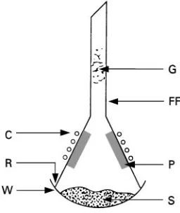 Figure 1Simple apparatus for demonstrating the principles ofsublimation. S, sample; P, sublimate (product); FP, perforatedfilter paper.