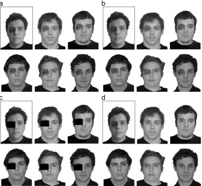 Figure 2.1. Examples of (a) a replication lineup, (b) a pixelation lineup, (c) a block lineup, and (d) a do-nothing (unfair) lineup
