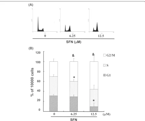 Figure 2 Influence of SFN on cell cycle progression/distribution in PA-1 cells: (A) Cell cycle analysis of PA-1 cells after being culturedwith SFN for 24 h; (B) SFN induced an increase in the number of G2/M phase cells (%)