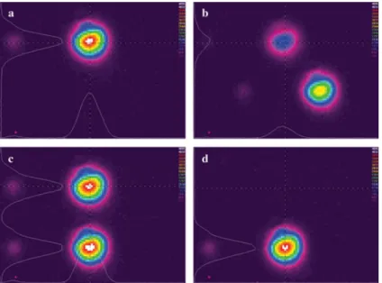 Figure 2.1: Aligning a nonlinear crystal to be used for SPDC. The crystal is mounted such that it can be rotated in the plain perpendicular to the incident, horizontally polarized light