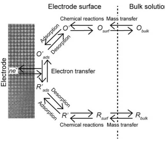 Figure 1.1 Schematic of a general electrode reaction. The mass transport occurs in series with other processes, such as chemical reactions, adsorption/desorption and ET.1 