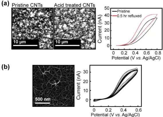 Figure 1.11 (a) FE-SEM images of pristine and 2 hours acid treated SWNT 