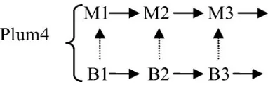 Figure 1. Plum as Normal Human Person in a Causally Deterministic World