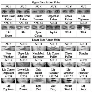 Figure 1.4: Some examples of Action Units. Action Units are atomic facial muscleactions described in FACS.