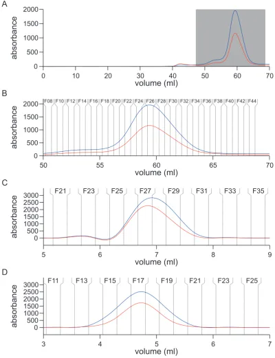 Figure 4.2: AKTA chromatography proﬁles for size exclusion and afﬁnity chromatography:All graphs are off EB1-GFP, corresponds with Figure 4.1 E-G
