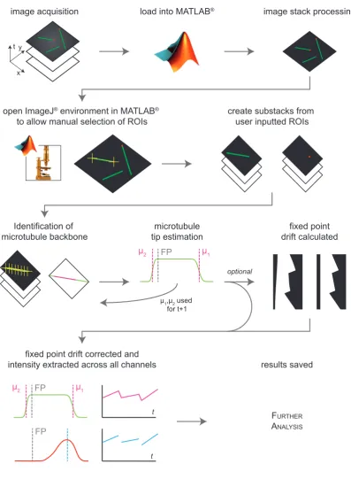 Figure 3.1: Schema Overview of Microtubule End Fitting Code: Figure legend continued onthe next page.