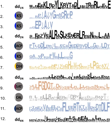 Figure 3.3: Motifs from N-terminal PKS sequences identiﬁed using MEME,listed by statistical signiﬁcance