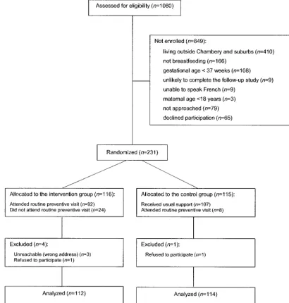 Fig 1. Flow diagram of mother-infant pair progress through the trial.