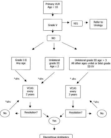 Fig 4. Clinical algorithm for surveillance of primary VUR in children �10 years old.