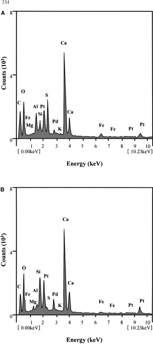 Fig. 7A,B. EDS spectral proﬁles of the hydration products on thesurfaces of exploded WFS in different mixtures