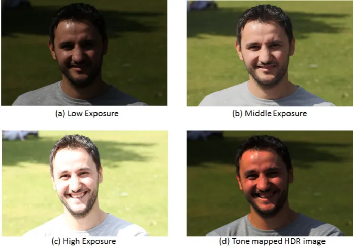 Figure 1.7:(a) In low exposure it is possible to see information in the highlights,while the rest of the detail is lost, such as in the colour of the grass