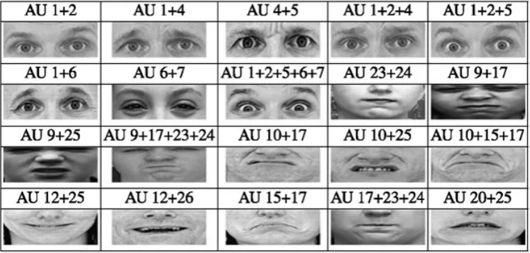 Figure 2.3: Sample action units from the Cohn-Kanade Database [TKC01]