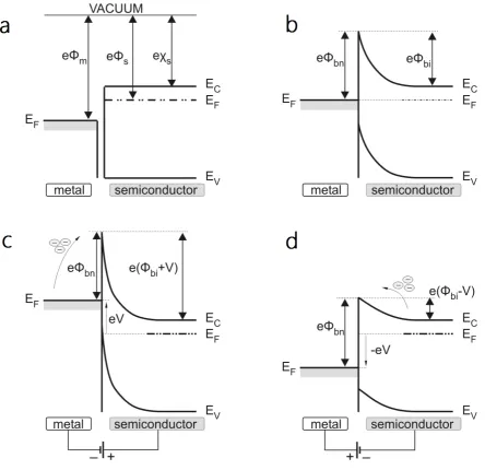 Figure 2.7: The Schottky barrier height formation in equilibrium,forward biased and reverse biased modes [7].